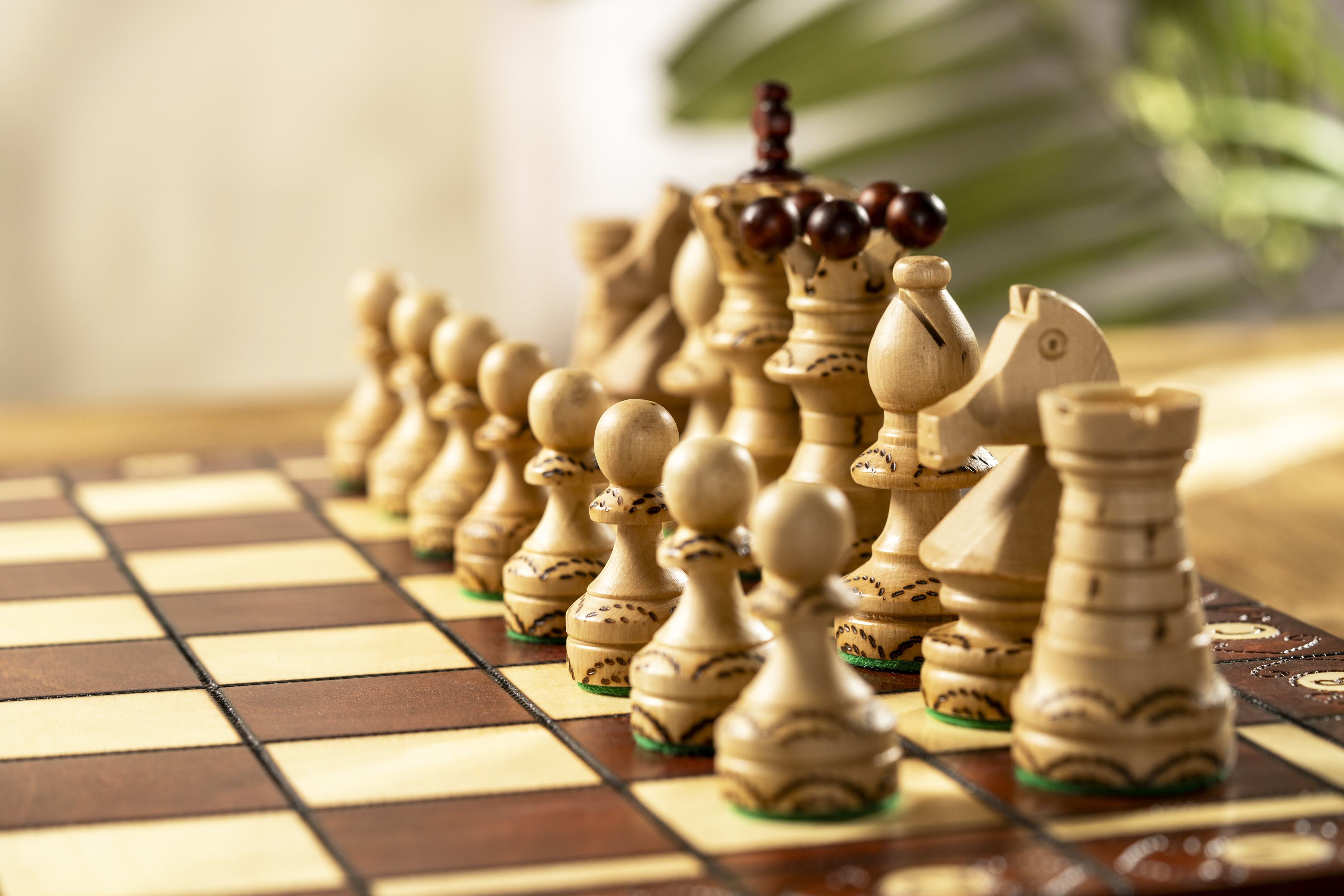 Jeu d'échecs SENATEUR en bois de charme, de taille moyenne (41 x 41cm) - Ensemble Complet