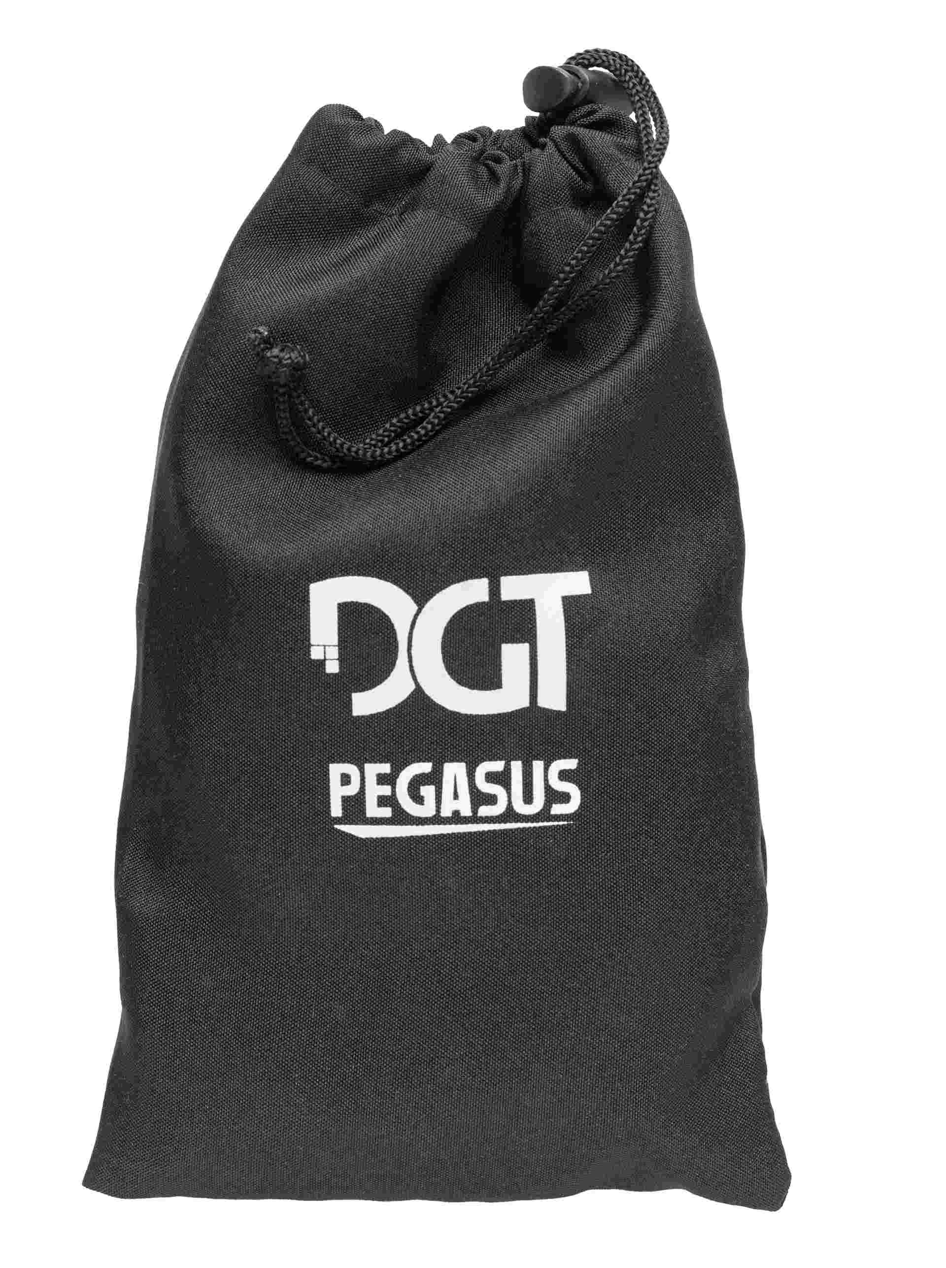 Echiquier électronique DGT Pegasus